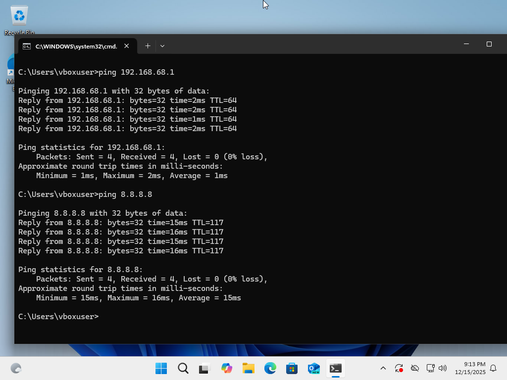 Ping external IP successful